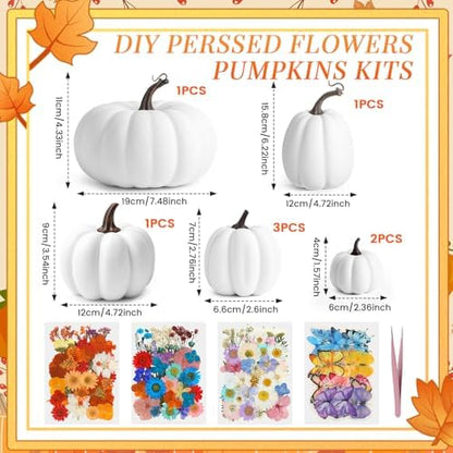 Canlierr 8 Pcs Large Craft Pumpkins & 150 Dried Flower, White - Image 2