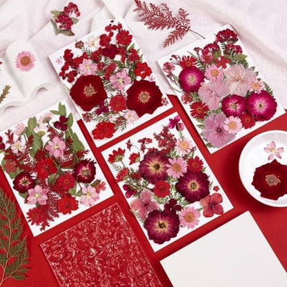 101 PCS Red Dried Pressed Flowers for Christmas Crafts Resin, Red Real Nature Flowers Bulk for DIY Holiday Cake Card Scrapbook Supplies, Large Dried Flowers for Soap Candle Making - Image 3