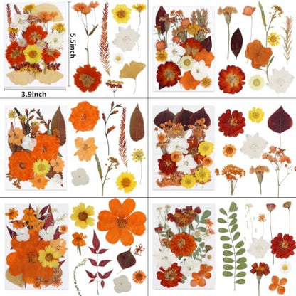 277 Pcs Autumn Dried Flowers for Crafts,Real Nature Dried Flowers for Resin - Image 2