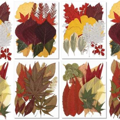 Timtin 84 Pcs Dried Pressed Leaves Flowers for Resin, Fresh by Timtin