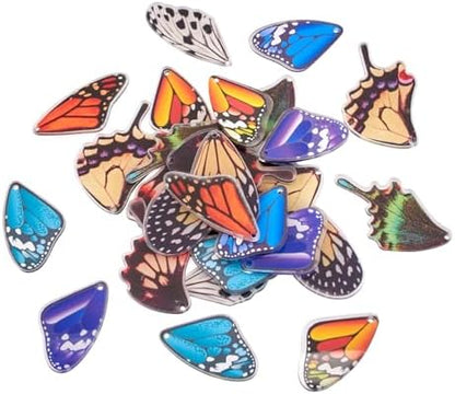 FASHEWELRY 40Pcs Acrylic Butterfly Wings Charms Fairy Wings Earring Charms Dragonfly Wings Pendants with 120Pcs Earring Hooks & Jump Rings for Crafts Jewelry Making by FASHEWELRY