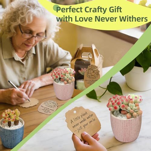 Microland Crafts for Teens Succulents Flower Making Kit, Teen Crafts Air Dry Clay Kit for Girls 14-16, Adults Art Therapy Project, DIY Creative Gifts for Women Teen Girls Artist Crafters Gifts for Mom - Image 5