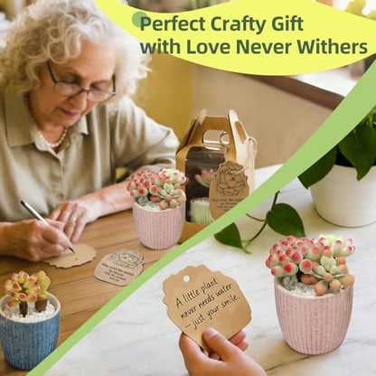 Microland Crafts for Teens Succulents Flower Making Kit, Teen Crafts Air Dry Clay Kit for Girls 14-16, Adults Art Therapy Project, DIY Creative Gifts for Women Teen Girls Artist Crafters Gifts for Mom - Image 5