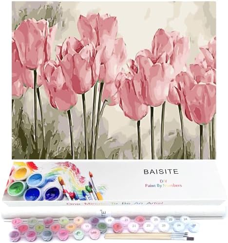 BAISITE Paint by Numbers Kit for Adults Beginners,20" Wx16 L Canvas for Painting Kits for Adults in Colorful Box Poppy Flowers-BSC002 by PaintbyNumbersKitsforAdults