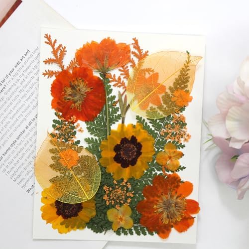 Dried Pressed Flowers Real Natural Petals Bulk Dried Leaves Plant for DIY Art Resin Candle Jewelry Making Bookmarks Scrapbooking Card Decorations Phone Case - Image 6