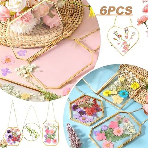 Pressed Flower Frames, Double Glass Hanging Picture Frames 6PCS - Image 5