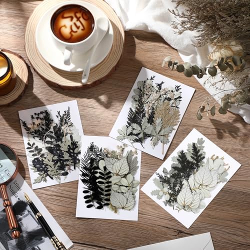 Timtin 84 Pieces Dried Pressed Leaves Dried Flowers for Resin Dried Leaves for Resin Mini Dried Flowers for Crafts Dried Greenery Assorted for Art DIY Handmade Bookmarks 4 Bags (Stylish Style) - Image 5