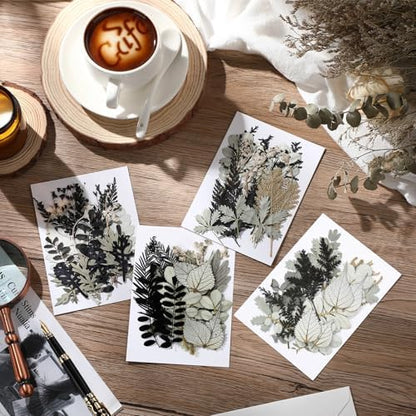Timtin 84 Pieces Dried Pressed Leaves Dried Flowers for Resin Dried Leaves for Resin Mini Dried Flowers for Crafts Dried Greenery Assorted for Art DIY Handmade Bookmarks 4 Bags (Stylish Style) - Image 5
