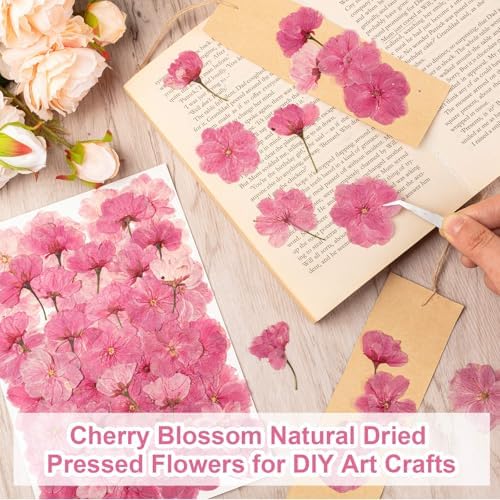 101 PCS Pressed Cherry Blossom for Crafts, Pink Dried Pressed Flowers for Resin DIY Jewelry Making Cake Card Scrapbook Decor, Dried Sakura Flowers for Soap Candle Making - Image 6