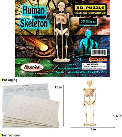 Puzzled 3D Puzzle Human Skeleton Wood Craft Construction Model Kit, Fun & Educational DIY Wooden Toy Assemble Model Unfinished Crafting Hobby Puzzle to Build & Paint for Decoration 50 Pieces Pack - Image 2