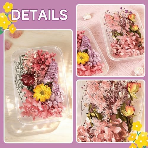 2PCS Dried Flowers Kit, Natural Dried Flowers Kit for DIY Crafts, Scrapbook, Card Making (Style15_28) - Image 5