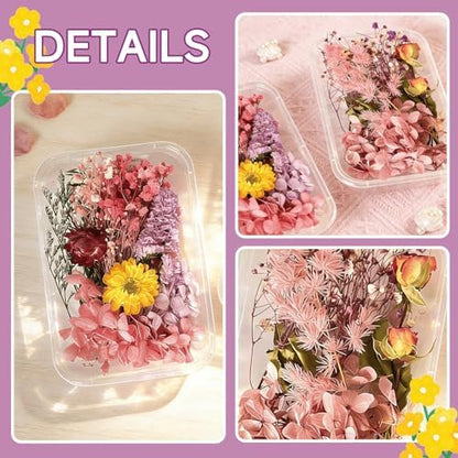 2PCS Dried Flowers Kit, Natural Dried Flowers Kit for DIY Crafts, Scrapbook, Card Making (Style15_28) - Image 5