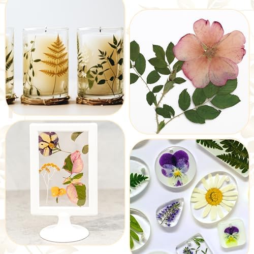Aboofx Microwave Flower Press 6.3" 3 Layers Fast Drying Pressed Flower Art Kit with Washable Cloth Vibrant Color Rentention Resuable Flowers Preservation Kit for DIY Flowers Art Gift for Nature Lover - Image 5