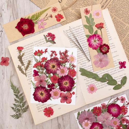 101 PCS Red Dried Pressed Flowers for Christmas Crafts Resin, Red Real Nature Flowers Bulk for DIY Holiday Cake Card Scrapbook Supplies, Large Dried Flowers for Soap Candle Making - Image 6