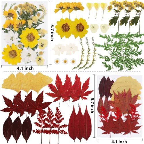 128 Pcs Fall Dried Pressed Flowers for Resin,Natural Real Dried Flowers - Image 5