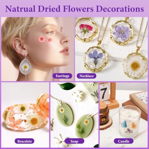 Dried Pressed Flowers for Resin,103pcs Real Nature Dried Flowers for Craft - Image 7