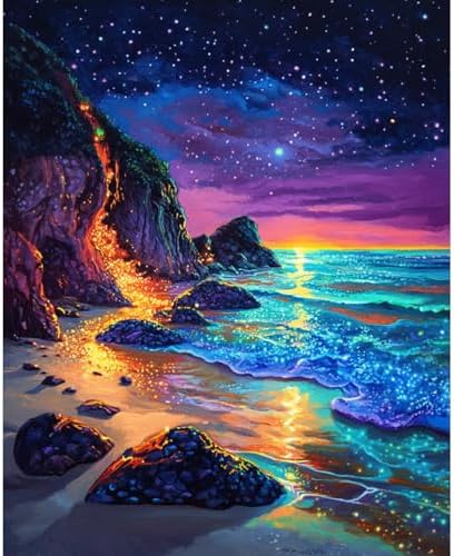 Banket Paint by Numbers Kit for Adults Beginner Beach DIY Painting Kits for Adults Starry Night Easy Adult Paint by Number Kits on Canvas Color by Numbers for Gifts Home Wall Decor 16x20 Inch by Unknown