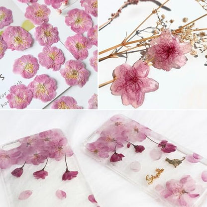 51 Pcs Real Natural Cherry Blossom Dried Pressed Flowers - Delicate Pink Florals for Resin Jewelry, Candle Making, Frame Decor & DIY Craft Projects - Image 4