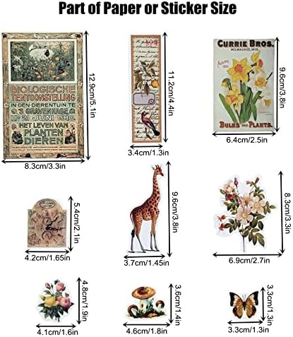 Esweny 200PCS Vintage Scrapbooking Supplies Kit for Journaling, Scrapbook Sticker Paper Pack for Junk Journal Planners Aesthetic Cottagecore Room Decor Wall Art Collage Album - Image 3