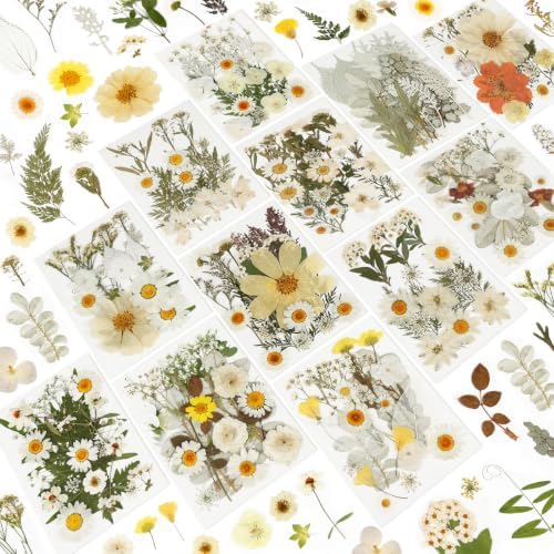 NESCCI 247 Pcs Dried Flowers for Crafts,Real Natural Dried Pressed Flowers by NESCCI