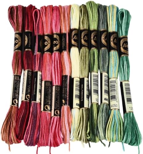 12 Skeins 105 Yards Cross Stitch Floss Embroidery Thread 6 Ply Variegated Friendship String Polyester Christmas Color Threads for Sewing Making Bracelets Clothes Stitching Decor Craft DIY by CABODYALS