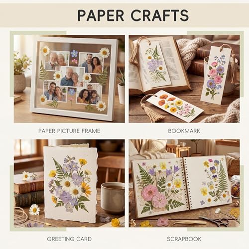 LUXEEASE 4 Color 110P Long Stem Dried Pressed Flowers - Image 5