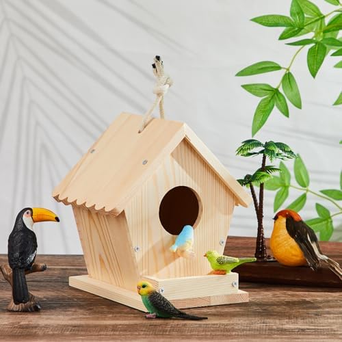 Juexica 2 Pack DIY Birdhouse Kits for Kids 8+ Build and Paint, Rotundity - Image 5