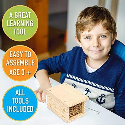 Rivajam Build a Bee House DIY Woodworking Project | Solitary Mason Bee House Nesting Box Wood Building Kit & Tools | Garden Arts & Crafts Activities for Toddler Boys & Girls Kids Teens Adults & Family - Image 6