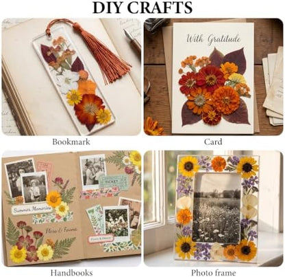 277 Pcs Autumn Dried Flowers for Crafts,Real Nature Dried Flowers for Resin - Image 5