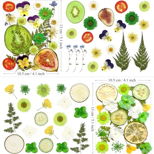 MIKIYA 75Pcs Pressed Dried Flowers Fruits for Resin Molds, Real Natural Bulk Assorted Dry Floral Leave for DIY Art Crafts, Epoxy Jewelry, Candle, Soap Making, Nails Decors Gifts - Image 6