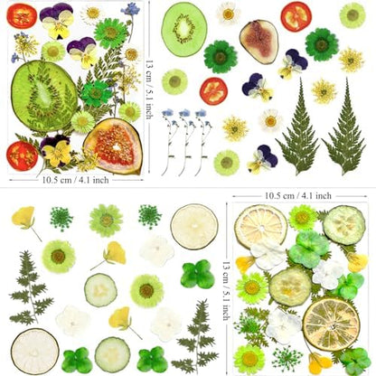 MIKIYA 75Pcs Pressed Dried Flowers Fruits for Resin Molds, Real Natural Bulk Assorted Dry Floral Leave for DIY Art Crafts, Epoxy Jewelry, Candle, Soap Making, Nails Decors Gifts - Image 6