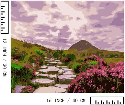 BAISITE Paint by Numbers Kit for Adults Beginners,16" Wx12 L 2 Pack Canvas for Painting Kits for Adults in Colorful Box-BAIPBN655-656 - Image 7