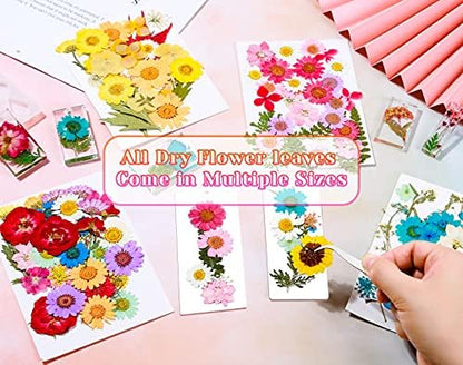 Real Dried Pressed Flowers for Resin, Natural Dry Flowers Leaves Bulk Herbs Kit for DIY Scrapbooking Stamping Supplies Epoxy Resin Jewelry Molds Candle Soap Making Nails Décor Art Crafts - Image 6