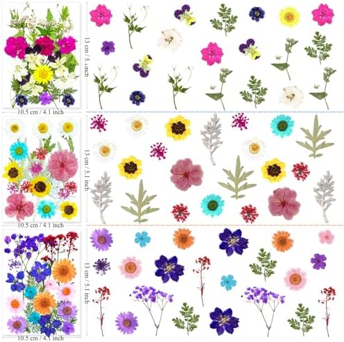 MIKIYA 192Pcs Dried Pressed Flowers for Resin, Assorted Real Natural Bulk Dry Floral Leaves for DIY Art Crafts, Epoxy Molds, Jewelry, Soap, Candle Making, Nails Decors - Image 5
