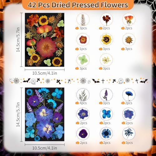 Dried Pressed Flowers for Resin Crafts, Real Dried Flowers and Leaves Kit for Resin Jewelry Molds, Candle & Soap Making, Scrapbooking DIY, Nail Art (Retro) - Image 2
