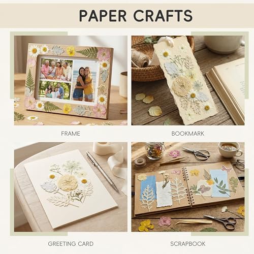LUXEEASE 80P White Pink Dried Pressed Flowers - Image 5