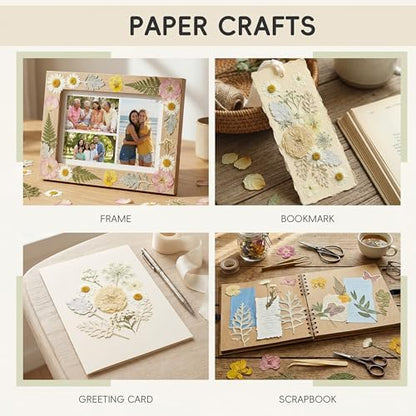 LUXEEASE 80P White Pink Dried Pressed Flowers - Image 5