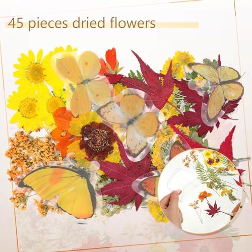 Taobary 91 Pcs DIY Dried Flowers Bookmarks Transparent, Stylish Color - Image 5