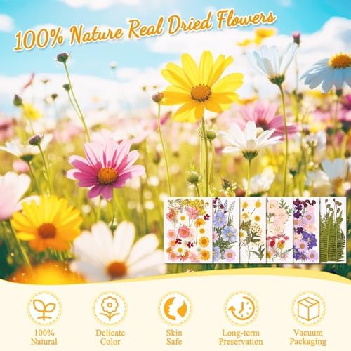 Evatage 124 Pcs Real Dried Pressed Flowers and Leaves for Resin Crafts - Image 4