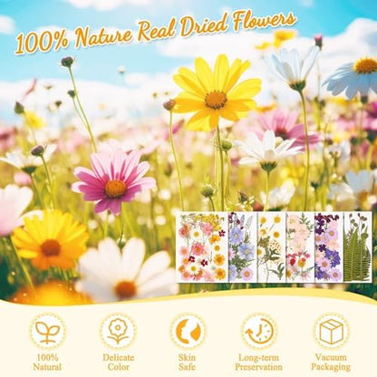 Evatage 124 Pcs Real Dried Pressed Flowers and Leaves for Resin Crafts - Image 4