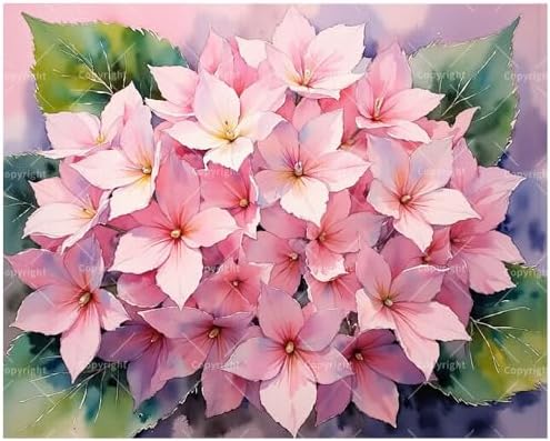 Floral Paint by Numbers Kit for Adults - DIY Pink Hydrangea Blossom Painting on Canvas 16x20 Inches, Acrylic Paint Set, Suitable for Beginners, Botanical Art for Home Decoration or Gifts by Unknown