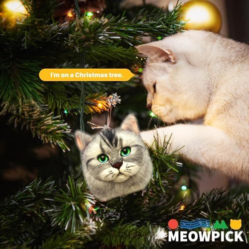 MeowPick Needle Felting Kit with Cat Head Mold, Animals Needle Felting Set, DIY Wool Felt Materials Set with Felting Tool and Instruction for Quick Needle Felting Craft (Ragdoll) - Image 5