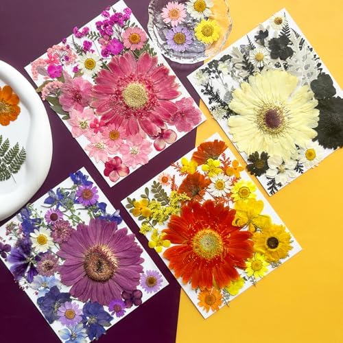 MIKIYA 106Pcs Big Dried Pressed Flowers for Resin, Assorted Real Natural Bulk Dry Floral Leaves for DIY Art Crafts, Epoxy Molds, Jewelry, Soap, Candle Making, Nails Decors - Image 3