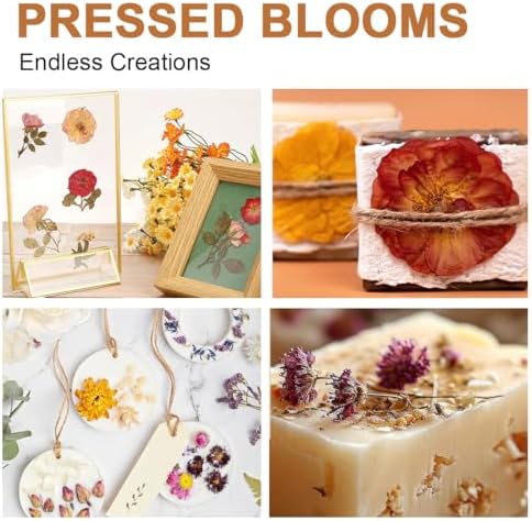 GPVHYJ Flower Press Kit for Adults 11" x 11" 6-Layer Large Wooden Plant Pressing DIY Bouquet Preservation & Dried Flower Art - Image 6