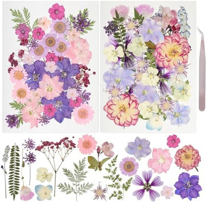 50Pcs Dried Pressed Flowers Resin Mould Real Pressed Flowers Natural Dry Leaves Bulk Mixed Colorful Daisy Herbs Kit with Tweezers for Scrapbooking DIY Candle Jewelry Crafts Making Nails(Purple) by Gvhntk