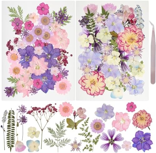 50Pcs Dried Pressed Flowers Resin Mould Real Pressed Flowers Natural Dry Leaves Bulk Mixed Colorful Daisy Herbs Kit with Tweezers for Scrapbooking DIY Candle Jewelry Crafts Making Nails(Purple) by Gvhntk