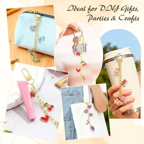 Ecoofor 50 Set Keychain Making Kit, 5 Style Metal Keychain Clips with Swivel Snap Hooks, Lobster Clasps, Key Rings & Extender Chains for DIY Crafts, Jewelry, Bags, Keychains & Gift Accessories - Image 7