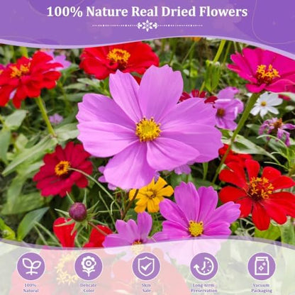 Evatage 480 Pcs Real Dried Pressed Flowers for Resin Crafts - Image 4