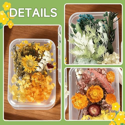 2PCS Dried Flowers Kit, Natural Dried Flowers Kit for DIY Crafts, Scrapbook, Card Making (Style18_24_27) - Image 5