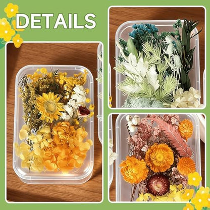 2PCS Dried Flowers Kit, Natural Dried Flowers Kit for DIY Crafts, Scrapbook, Card Making (Style18_24_27) - Image 5